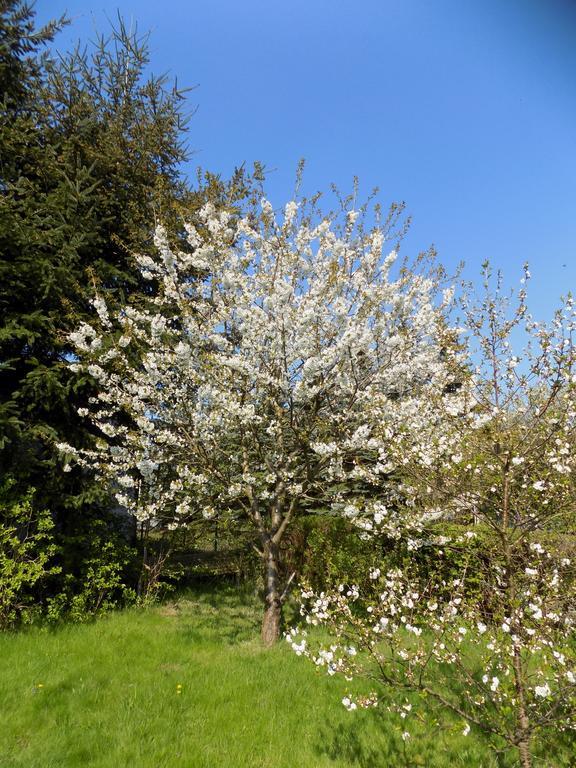 Ferienwohnung Zur Alten Schule Pritzwalk Luaran gambar